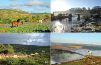 2024 Calendar Postcards