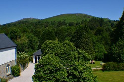 Honeybag Tor from Wooder